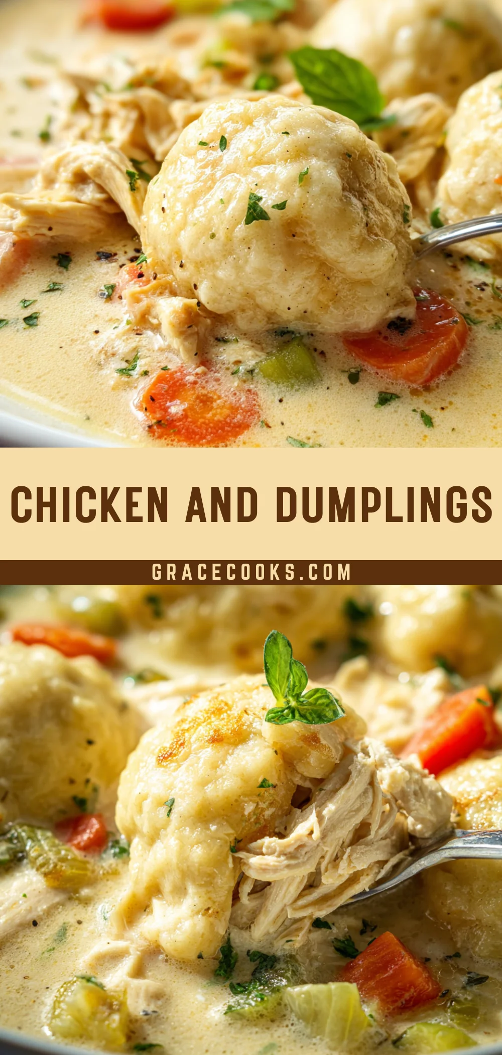 Chicken and Dumplings 27 Pinterest Hidden Image