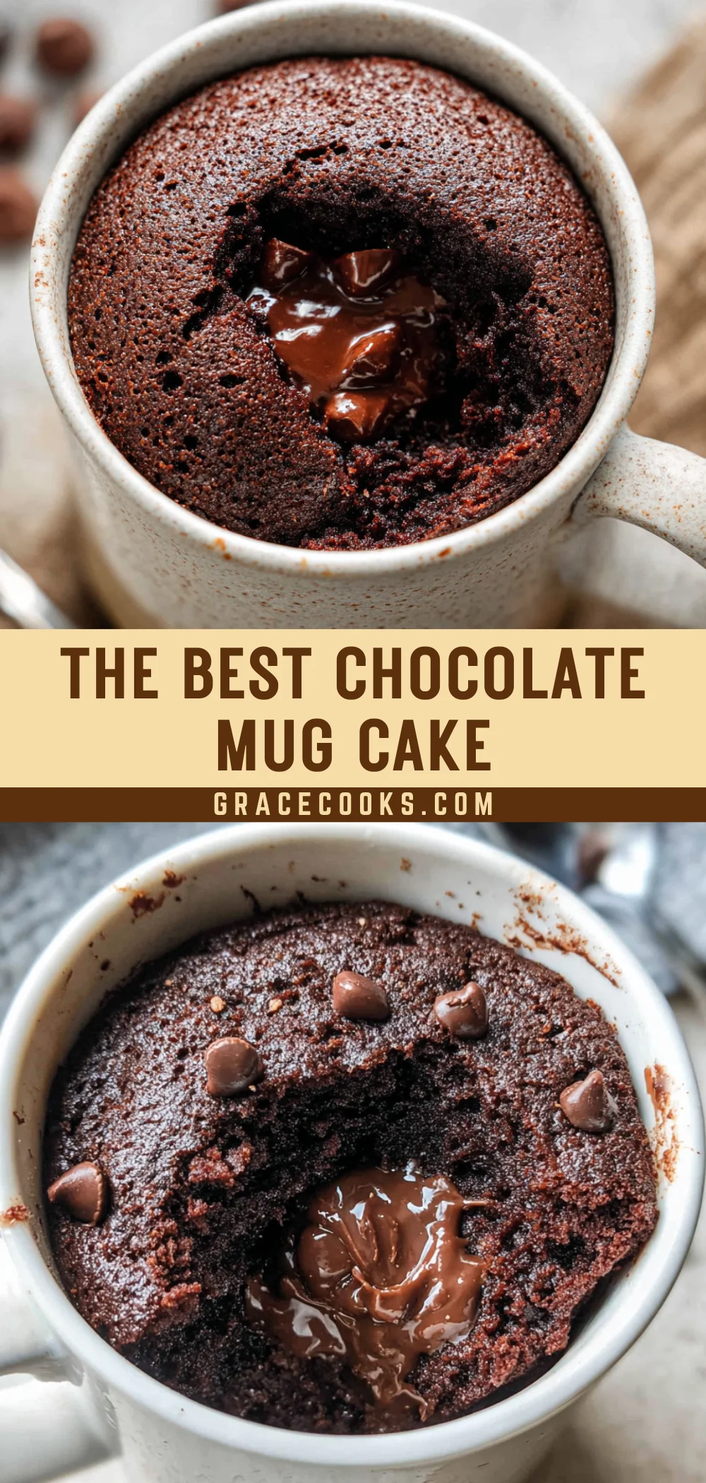The Best Chocolate Mug Cake 19 Pinterest Hidden Image