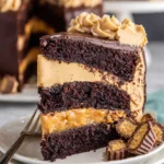 Peanut Butter Chocolate Layer Cake