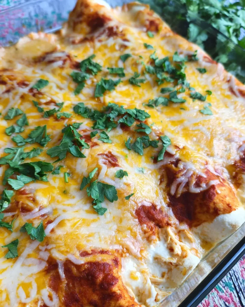 Easy Chicken Sour Cream Enchiladas